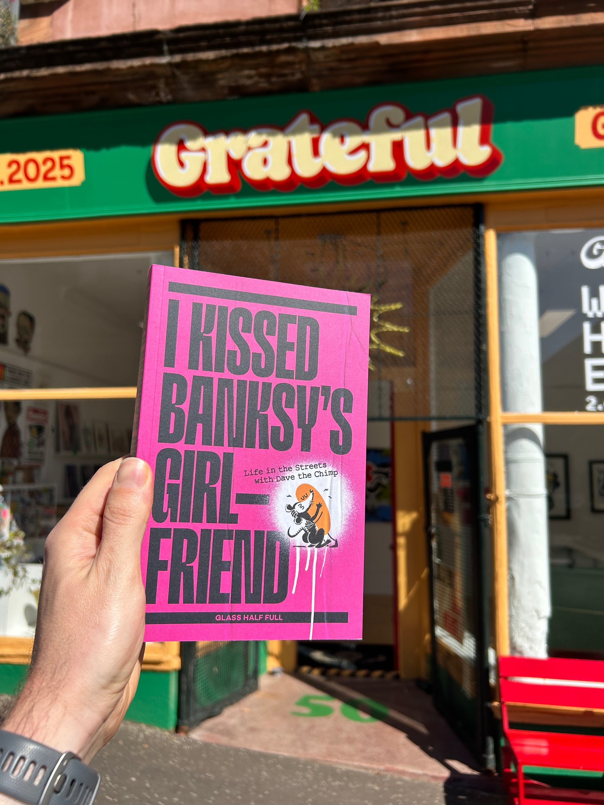 Dave The Chimp Book I Kissed Banksys girlfriend